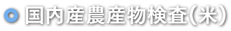 Y_Y()
